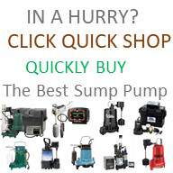 In A Hurry Use Quick Shop To Buy Your Best Sump Pump at SumpPumps.PumpsSelection.com